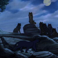 Seeonee Wolf Pack Disney Wiki Fandom See more ideas about anime wolf, wolf art, fantasy wolf. disney wiki fandom