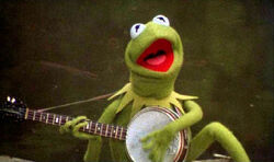 Kermit1.jpg