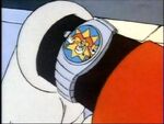 Quackerjack on Max's watch