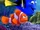 Findet Nemo Marlin und Dorie.png