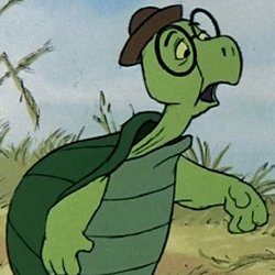 Categoría:Tortugas | Disney Wiki | Fandom Categoría:Tortugas | Disney Wiki | Fandom