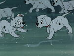 101-dalmatians-disneyscreencaps.com-6939