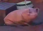 Big Pig in Big Thunder Mountain Railroad.jpg (596 KB) The Big Pig in Big Thunder Mountain Railroad