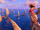 Chief Moana - Sailing.png