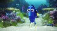 Dory the Blue Tang Marine Life Interviews.jpg (209 KB)