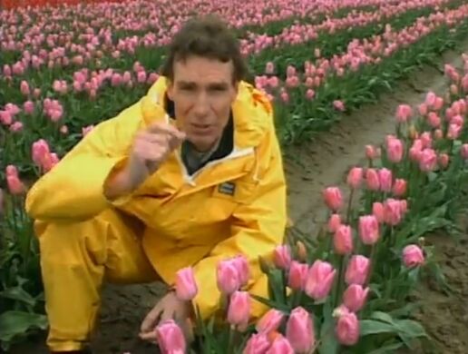 Populations bill nye