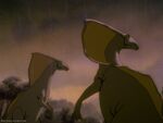 Two Parasaurolophus looking at the arrival of the Tyrannosaurus rex.