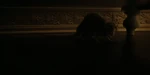 4k-ladytramp2019-animationscreencaps.com-13749.jpg (283 KB)