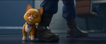 "I was issued by Star Command to ease your emotional transition after your time away."