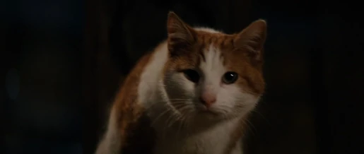 101-dal-disneyscreencaps.com-6545