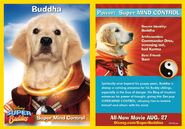 Buddha (Super Buddies)