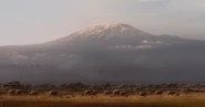 Kilimanjaro as seen in The Lion King remake