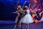 Nutcracker Ballet