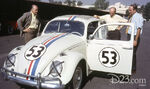 The Love Bug photos 2