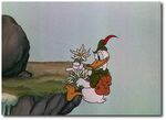 Donald finds an edelweiss flower