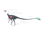 Alvarezsaurus