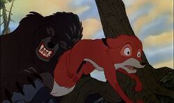 the fox and the hound bear attack