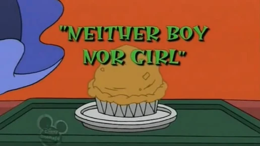 Neither a Boy Nor a Girl title