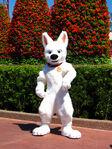 Bolt at Walt Disney World