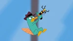 Perry using his grappling hook.