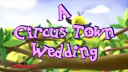 Circus Town Wedding