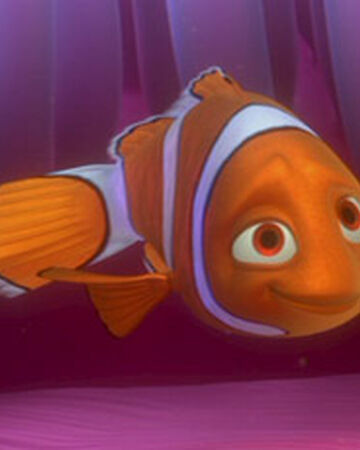 Coral Disney Wiki Fandom Walt disney disney pixar cute disney disney and dreamworks disney art disney movies finding memo photo ocean dory finding nemo. coral disney wiki fandom