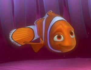 coral finding nemo