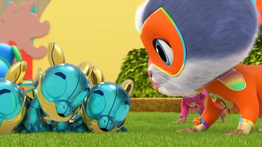 Get The Zoomies still