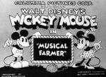 Title card