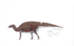 Maiasaura concept 2.jpg