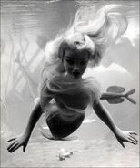 Submarine Voyage Mermaid Figure