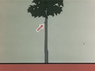 1944-amazon-awakens-10.jpg (45 KB)