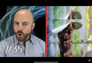 50 Amazing Facts 74 Suriono Monkey Photo