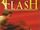 Flash (1997 film)