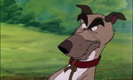 Fox-and-the-hound-disneyscreencaps.com-867