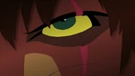 Kovu's scratch