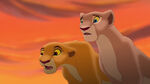 Nala's reaction to Kovu being banished.