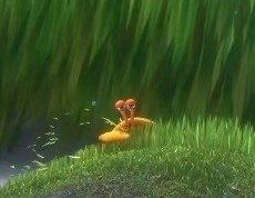 why are you sleeping finding nemo why are you sleeping finding nemo