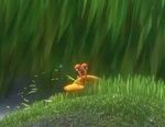 Findingdory-crabs-grass