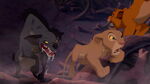 Simba saves Nala from Shenzi.