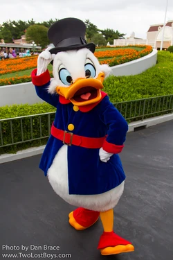 Scrooge McDuck Character Central