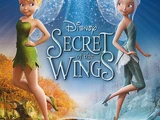 Secret of the Wings