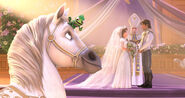 Tangled Ever After Promotional