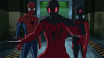 Ultimate Spider-Man - 4x21 - Spider Slayers, Part One - Spider-Man, Scarlet Spider and Ultimate Spider-Woman 2