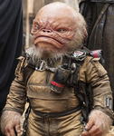 Weeteef Cyubee (Rogue One)