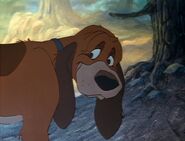 Adult Copper (The Fox and the Hound)