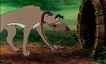 Fox-and-the-hound-disneyscreencaps.com-895