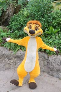 NewTimon