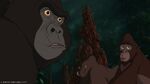 Kerchak, Kala and the other gorillas before the stampede