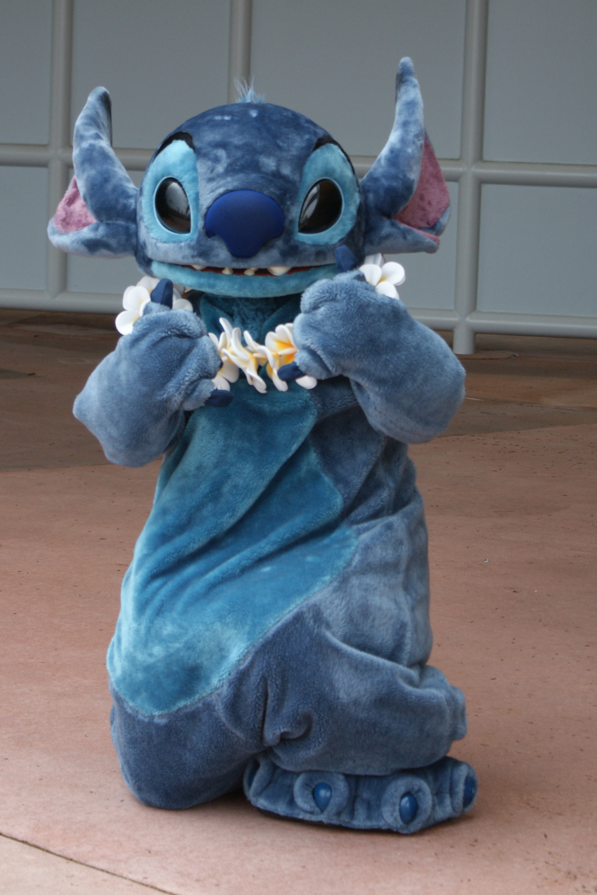 Stitch Outfit